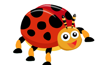 ladybird